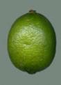 Limetta